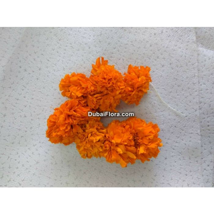 Fresh Orange Marigold Strings (Genda Gende Ki Ladi Lari)