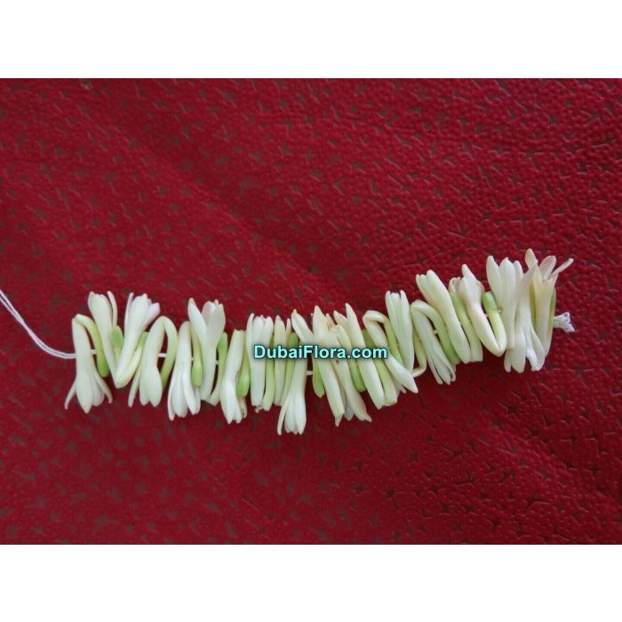 Fresh Tuberose Flower Strings – Rajnigandha / Gulchadi Lily Strings (Natural, Hand-picked)
