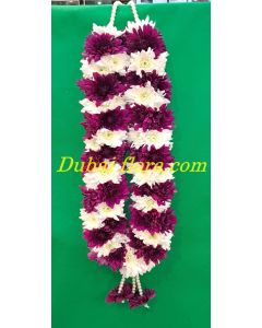 Garland  combination of  dark purple and white Chrysanthemum  