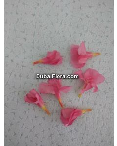 Fresh Pink Oleander Flowers (Arali)