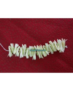 Fresh Tuberose Flower Strings – Rajnigandha / Gulchadi Lily Strings (Natural, Hand-picked)
