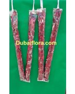 Pair of garland in rose patels 
