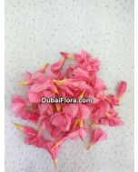 Fresh Pink Oleander Flowers (Arali)