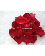 Red Rose Petals