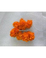 Fresh Orange Marigold Strings (Genda Gende Ki Ladi Lari)